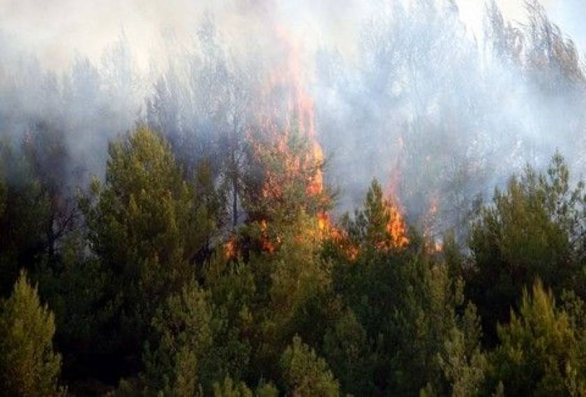 Λάρισα: Σε εξέλιξη πυρκαγιά σε δασική περιοχή
