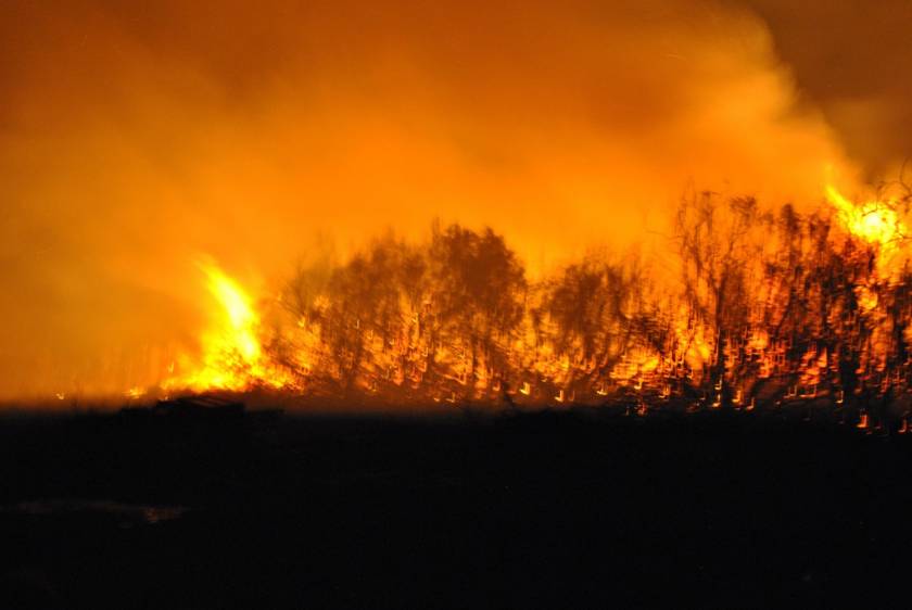 Λάρισα: Υπό μερικό έλεγχο η φωτιά στο Δαμάσι