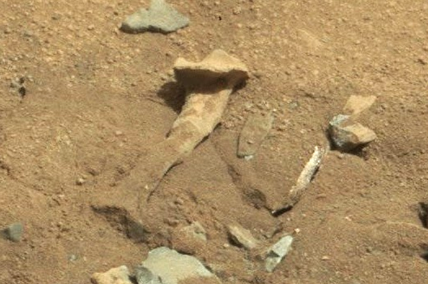 Μυστήριο με το… εξωγήινο οστό στον Άρη! (photo)