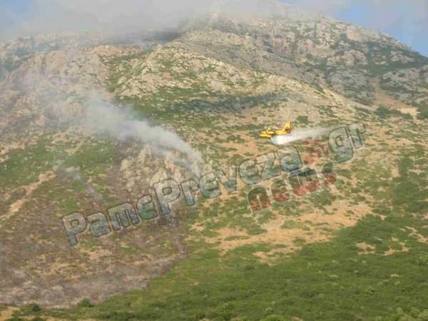 Πρέβεζα: Υπό έλεγχο η φωτιά στα Μουζακαίικα – Έκαψε 180 στρέμματα 