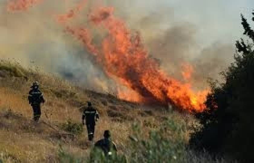 Κυριάκι Βοιωτίας: Πυρκαγιά καίει χαμηλή βλάστηση σε χαράδρα