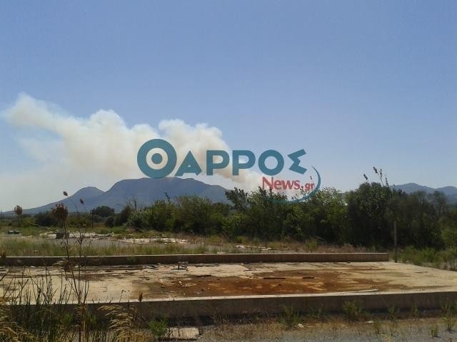 Fire in Messinia - 64 Firefighters trying to control it 