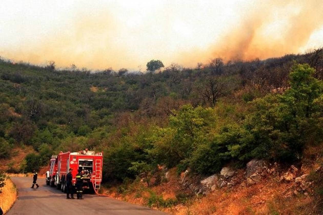 Κρήτη: Σε εξέλιξη πυρκαγιά στο Λίσταρο