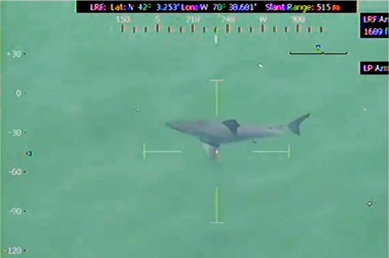 ΗΠΑ: Τεράστιος καρχαρίας ξύπνησε μνήμες από το Jaws! (video+photos)