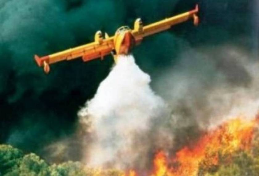 Φθιώτιδα: Μάχη με τις φλόγες σε δυο πύρινα μέτωπα