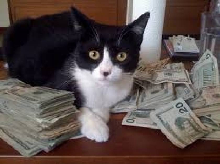 Ρωσία: Στεγαστικό δάνειο και δώρο μία γάτα!