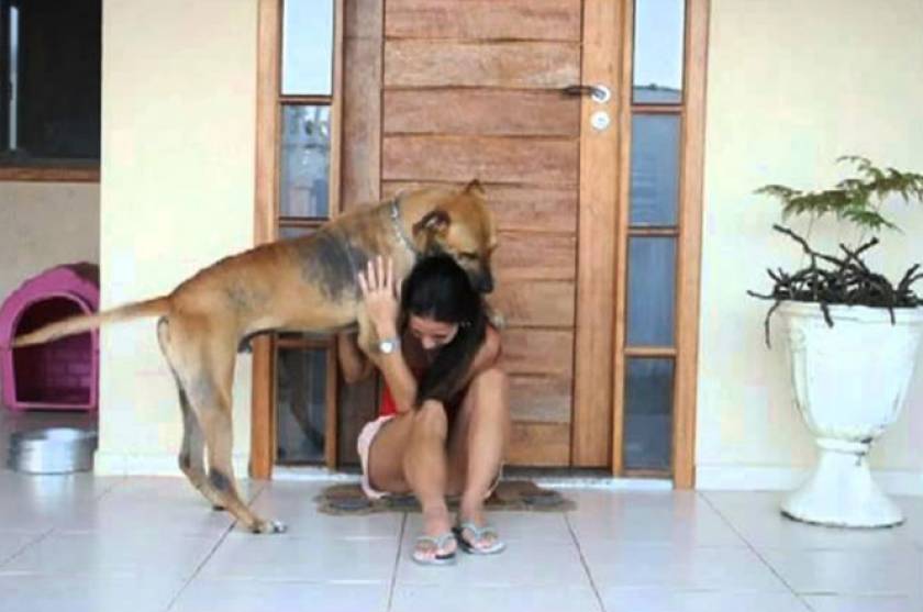 Επίθεση αγάπης κι ευγνωμοσύνης από έναν σκύλο (Video)