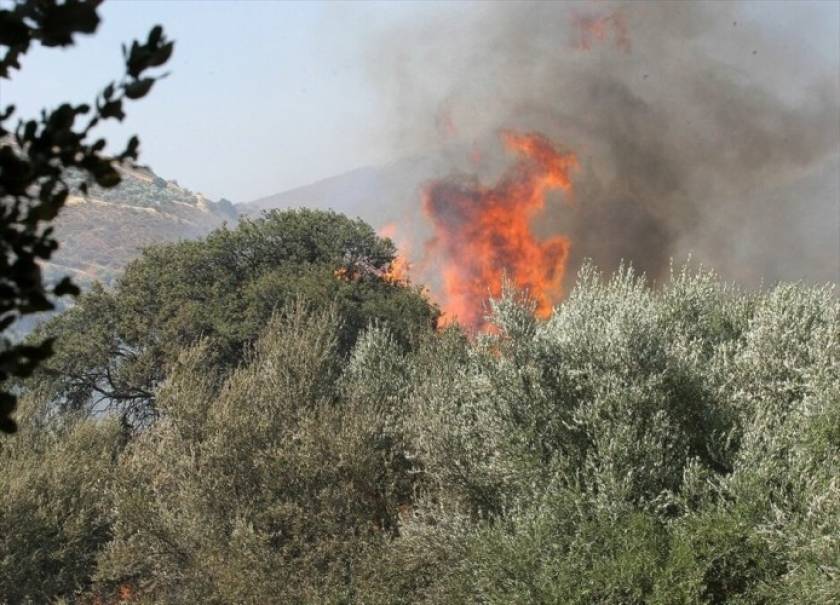Σε ύφεση η φωτιά στην Κρήτη