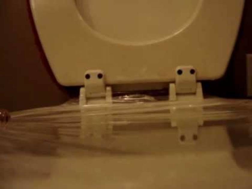 Μάθετε να αλλάζετε χαρτί... τουαλέτας! (βίντεο)
