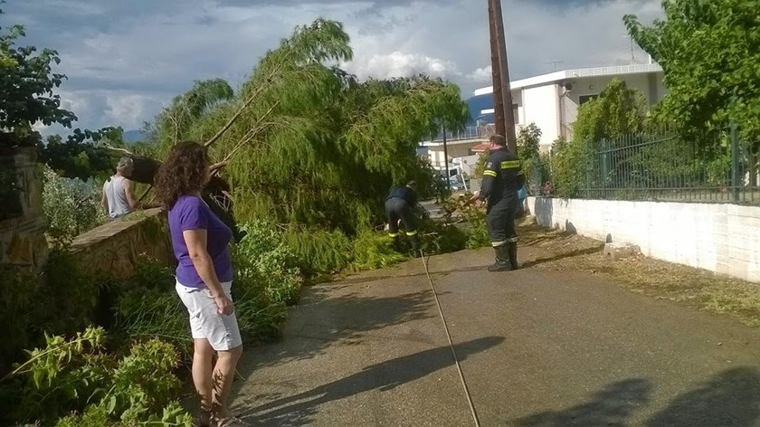 Εύβοια: Ανεμοστρόβιλος ξερίζωσε δέντρα-«Από τύχη δε θρηνήσαμε θύματα» (pic)