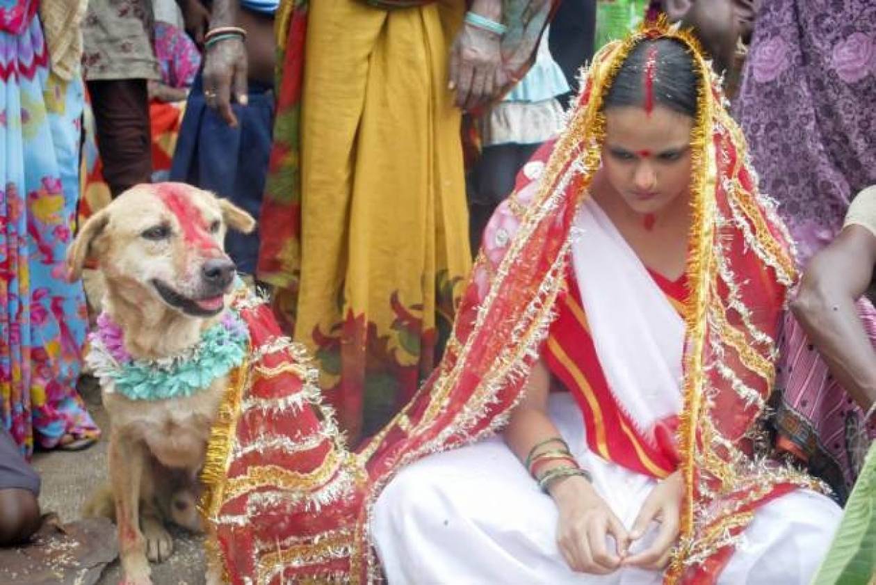 18χρονη παντρεύτηκε έναν αδέσποτο σκύλο! (pics)