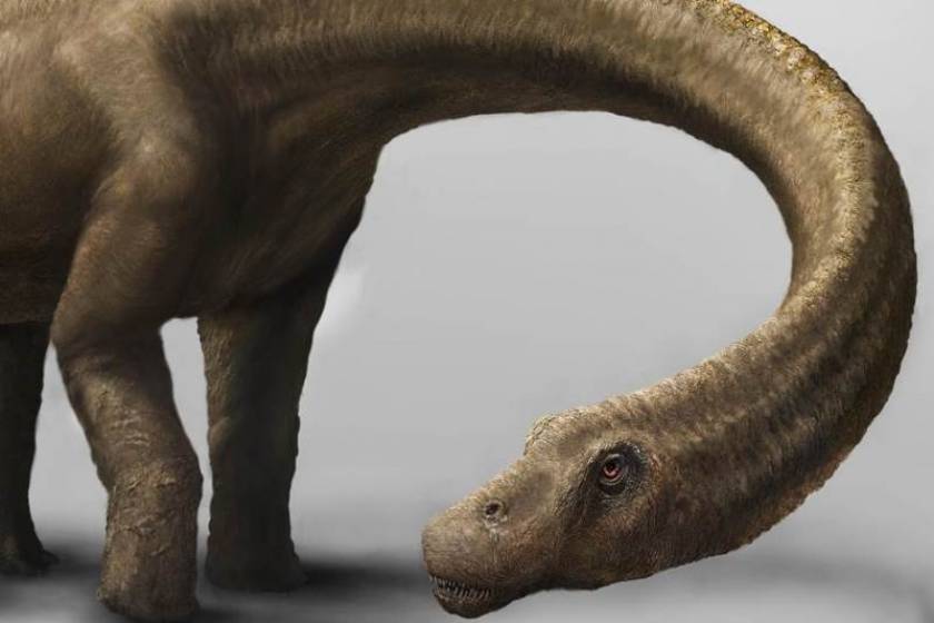 Ανακαλύφθηκε ο μεγαλύτερος δεινόσαυρος που περπάτησε στη Γη (pics)