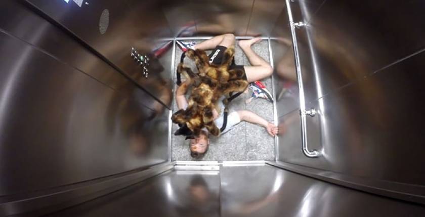Σκύλος με στολή αράχνης σπέρνει τον τρόμο σε ανυποψίαστα θύματα φάρσας (Video)