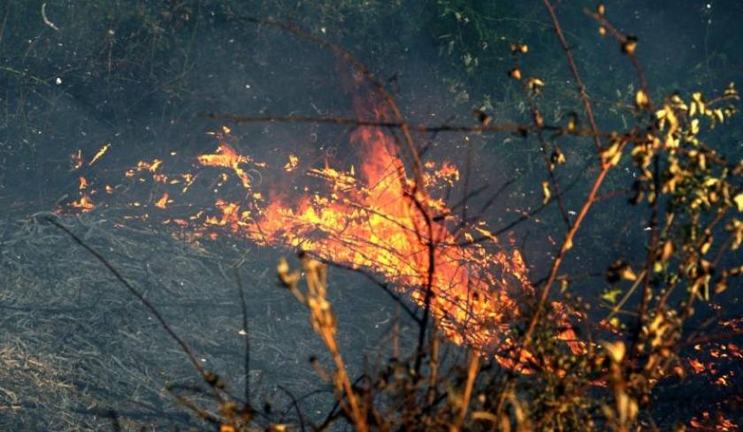 Ρόδος: Υπό πλήρη έλεγχο η φωτιά στον Άνω Καλαμώνα
