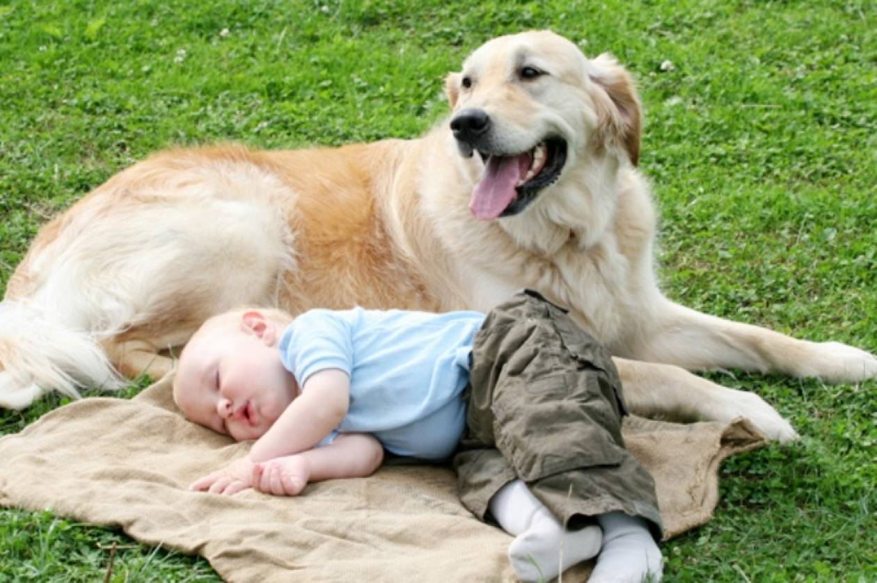 Ο ύπνος πάνω σε ζώα μειώνει τον κίνδυνο άσθματος για τα μωρά