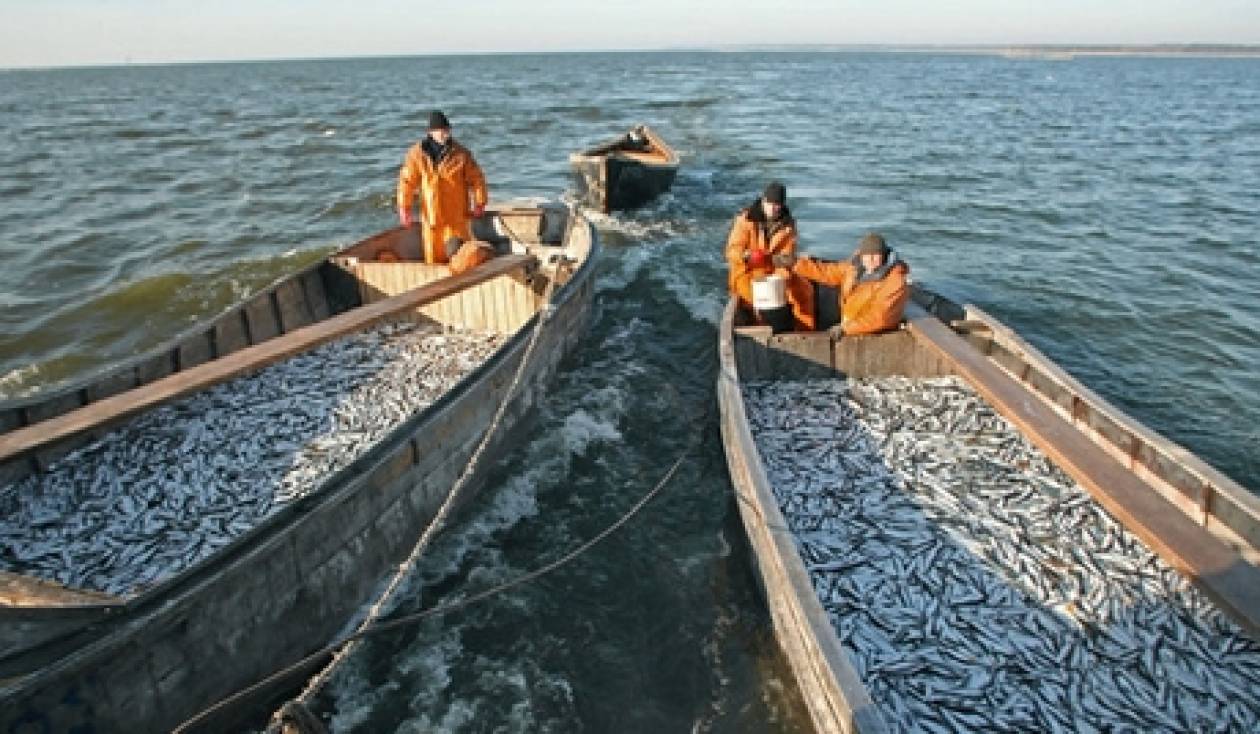 Επιχειρησιακά προγράμματα επαγγελματικής αλιείας