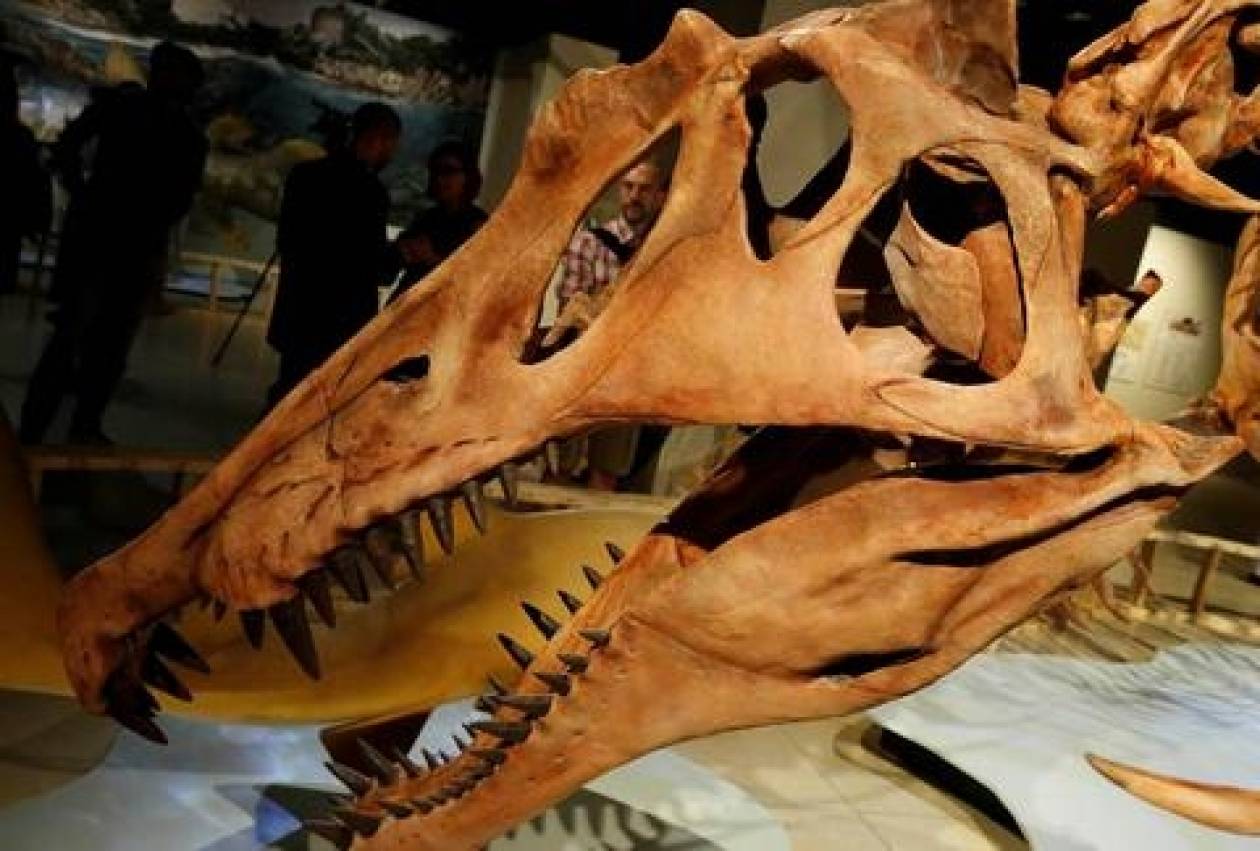 Ανακαλύφθηκε ο πρώτος αμφίβιος δεινόσαυρος