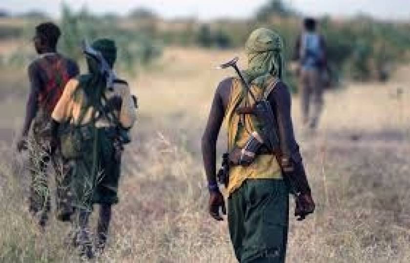 Νιγηρία: 80 ισλαμιστές της Μπόκο Χαράμ σκότωσε ο στρατός