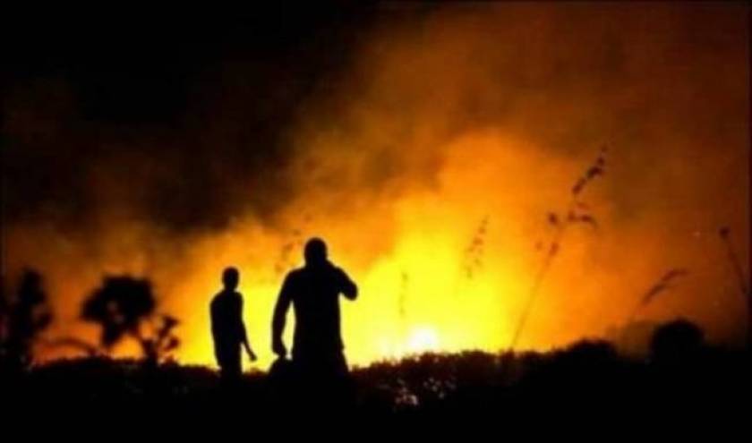 Τρίπολη: Ξεκίνησε η καταβολή των αποζημιώσεων στους πυρόπληκτους της Πελοποννήσου