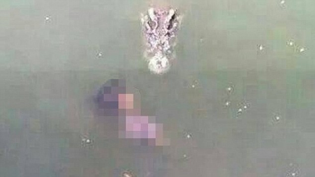 Φρικτή αυτοκτονία: Έπεσε σε λίμνη γεμάτη με κροκόδειλους (pics)