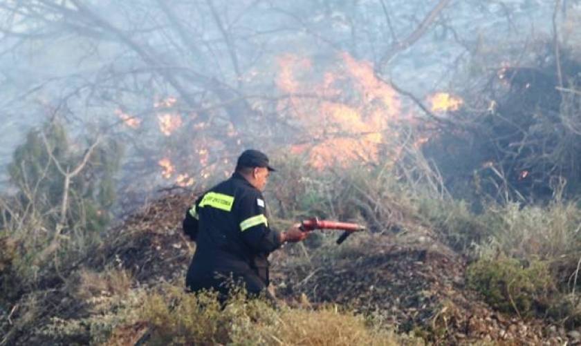 Κρήτη: 25 στρέμματα έγιναν στάχτη από τη φωτιά στο Αμάρι