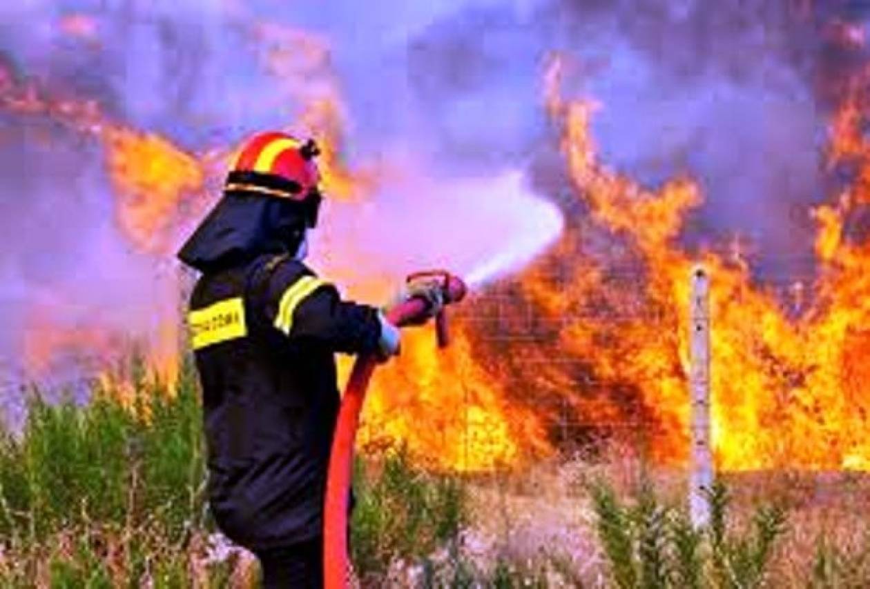 Κρήτη: Υπό έλεγχο οι πυρκαγιές σε Κεραμειά και Πλατανιά - Κάηκαν καλλιέργειες