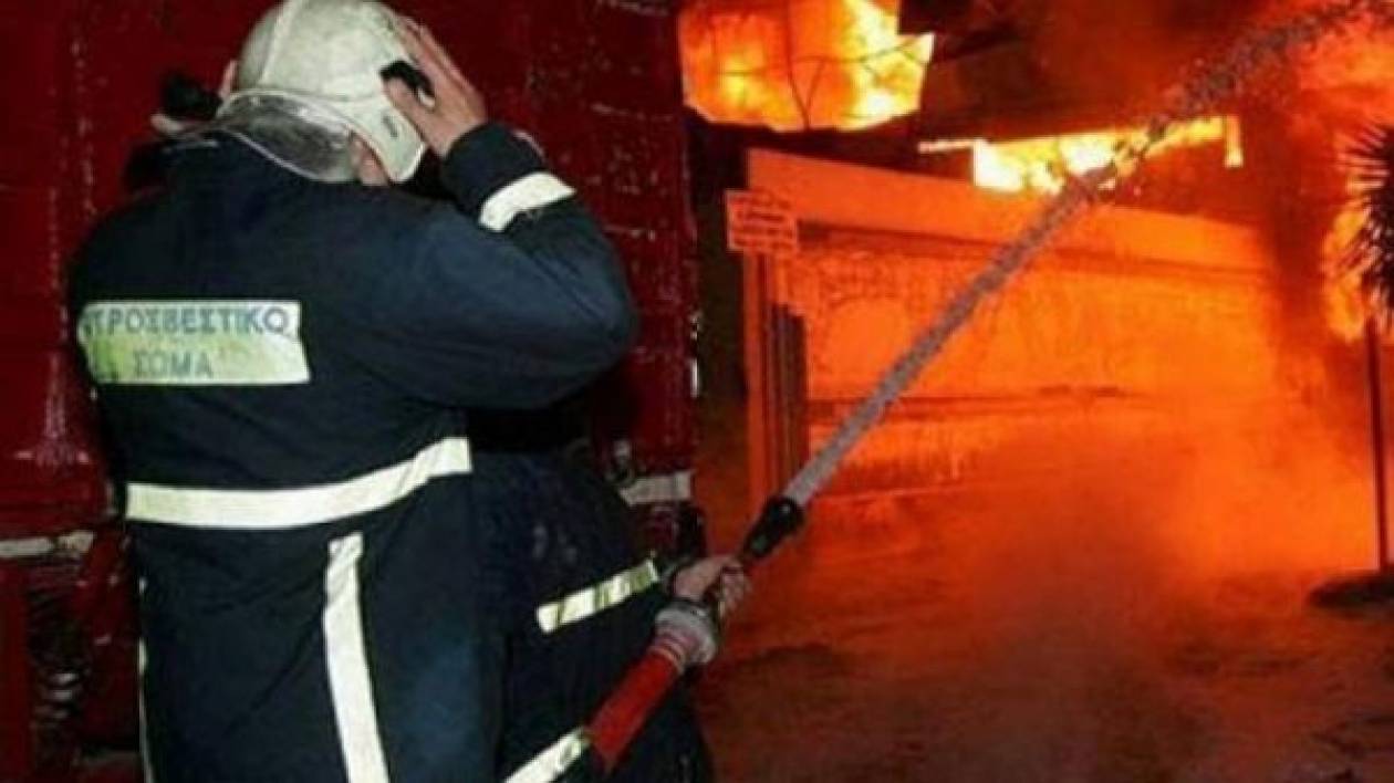 Ωρωπός: Κάηκε ολοσχερώς το εργοστάσιο - Στο δάσος κατευθύνεται η φωτιά