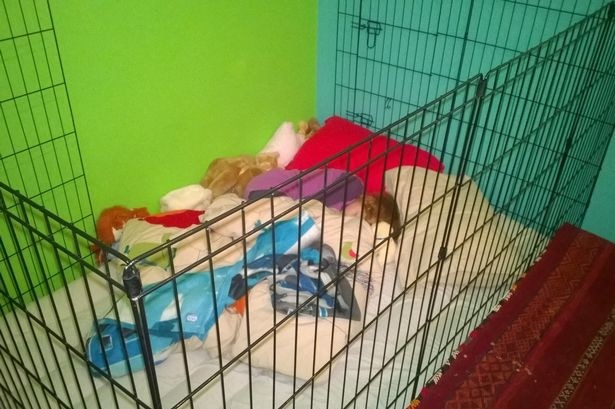 Σοκ: Παιδί με ειδικές ανάγκες κοιμάται σε κλουβί (pics)