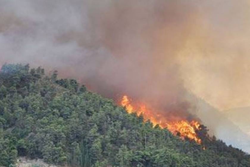 Σαλαμίνα: Πυρκαγιά σε δασική έκταση στο Ξένο