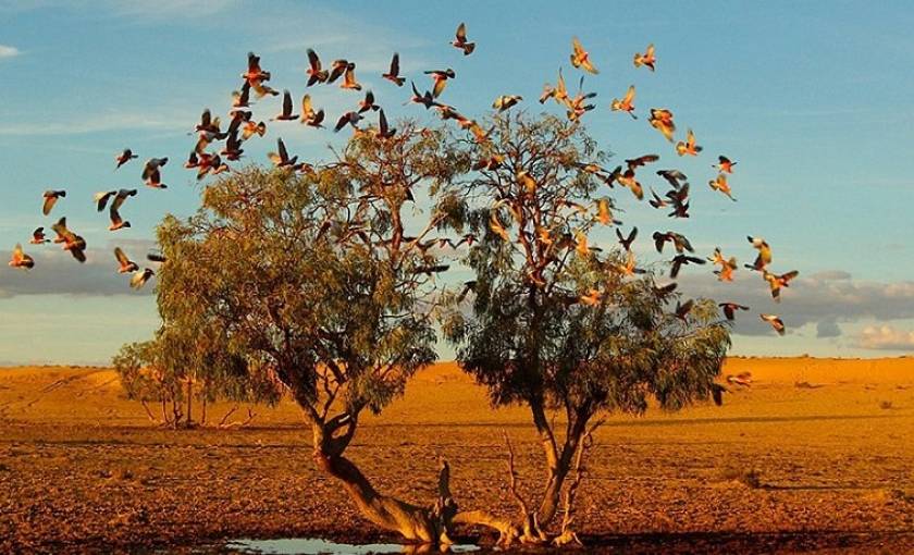 National Geographic: Η ομορφιά της φύσης μέσα από το φακό (pics)