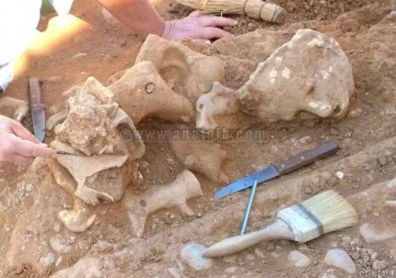 Κρήτη: Σημαντικά ευρήματα από την ανασκαφή στους τάφους της Αρχαίας Καμάρας