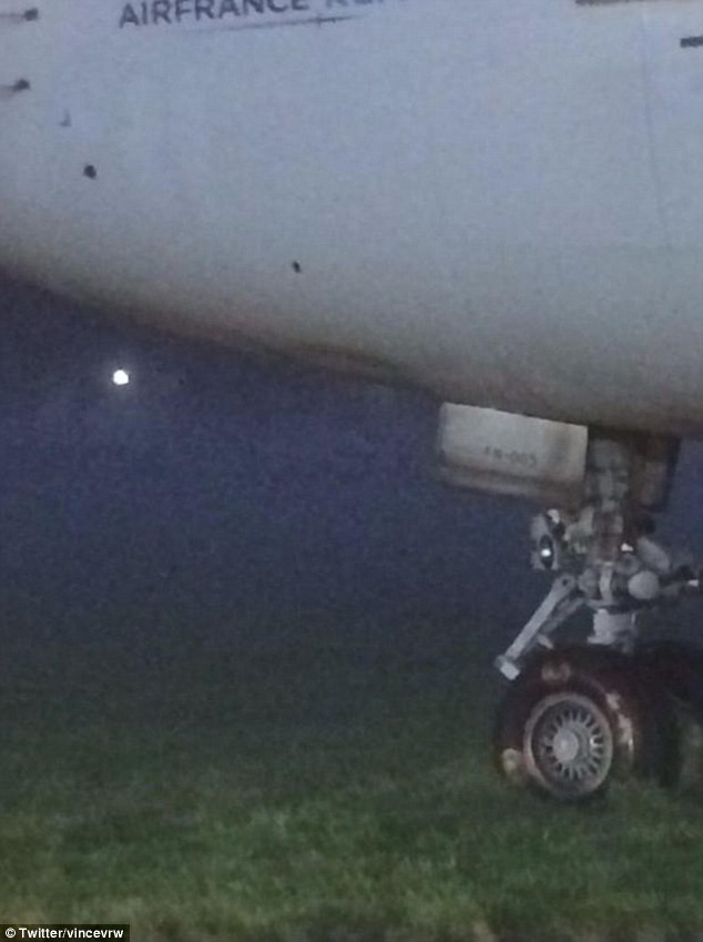 Αεροπλάνο ξέφυγε από το διάδρομο προσγείωσης και σταμάτησε σε... γκαζόν! (pics)