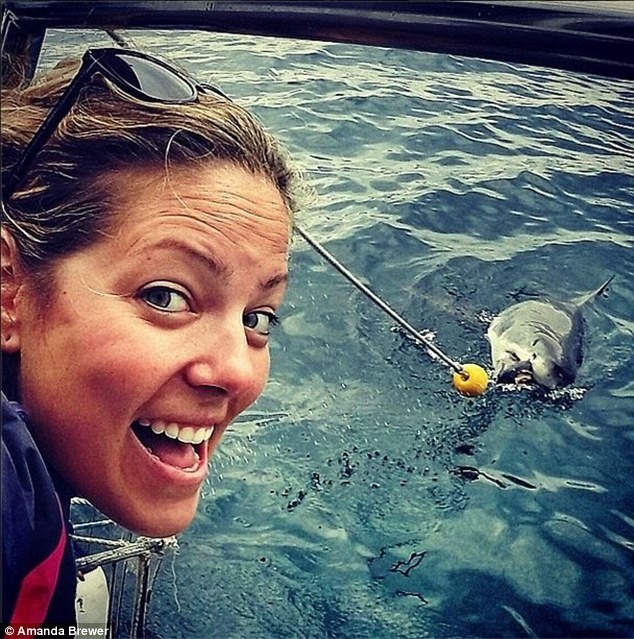 Σαρώνει στα social media: Η στιγμή της επίθεσης ενός καρχαρία (pics)