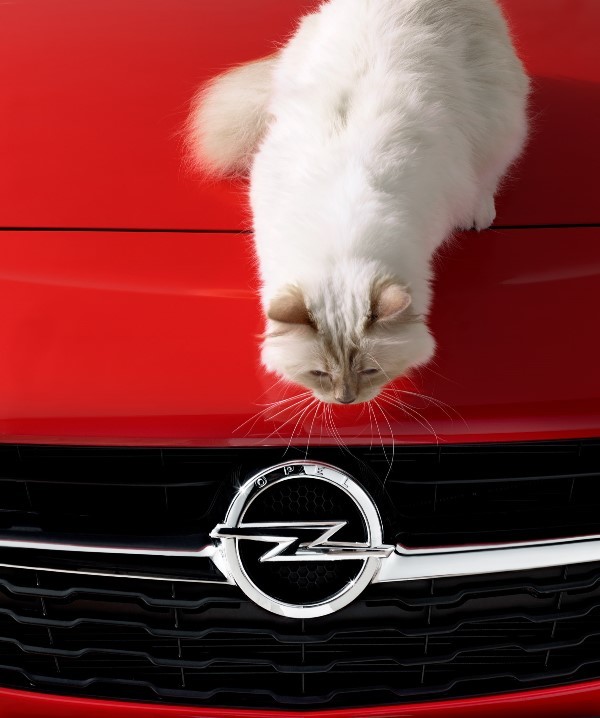 Opel: Το Corsa και η Choupette Ποζάρουν για τον Karl Lagerfeld