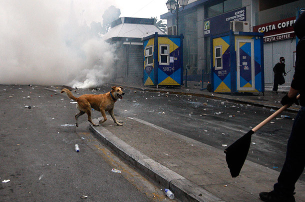 Λουκάνικος: Όταν ένας σκύλος γινόταν πρόσωπο της χρονιάς στο TIME