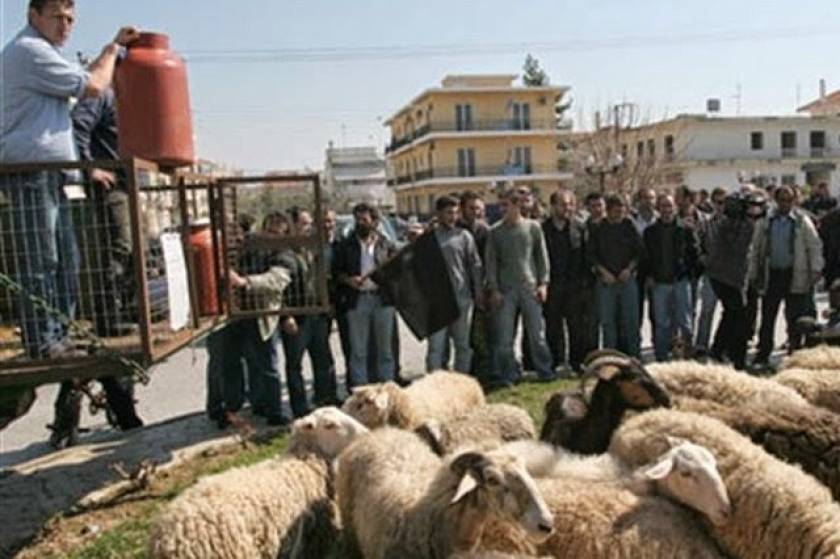 Συγκέντρωση διαμαρτυρίας κτηνοτρόφων στο Σουφλί