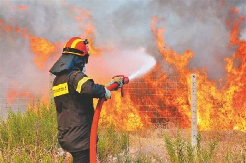 Βόλος: «Συναγερμός» στην Πυροσβεστική - Σε εξέλιξη μεγάλη πυρκαγιά