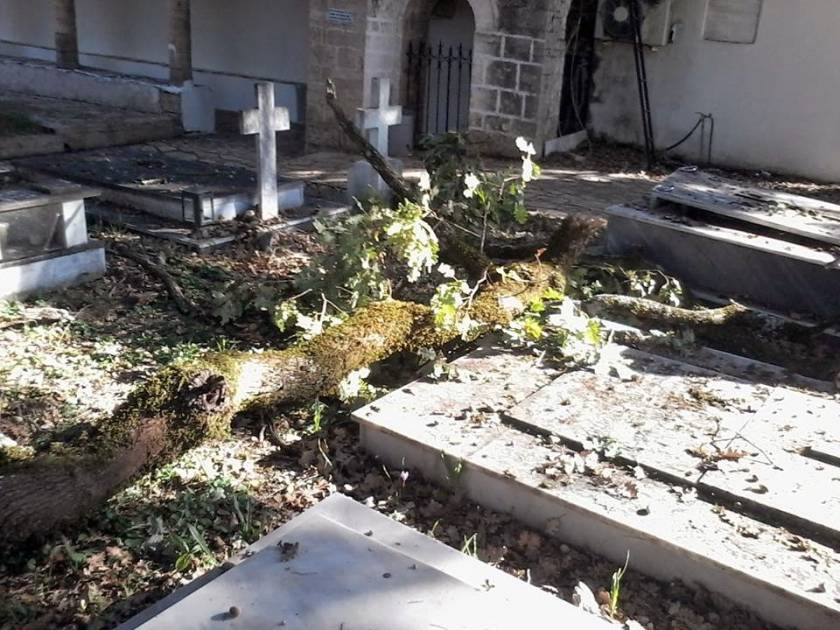 Θεσπρωτία: Καταστράφηκαν μνήματα από την πτώση πλατάνου στο Φοινίκι Φιλιατών