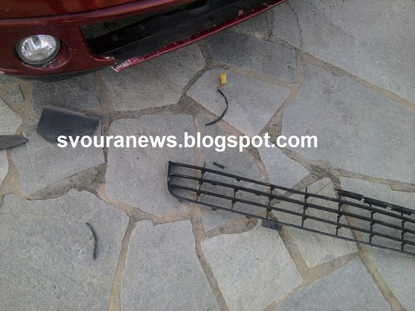 Καστοριά: Αρκουδάκι προκάλεσε υλικές ζημιές σε ΙΧ (pics)