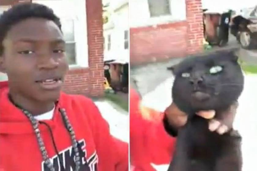 Έφηβος έπνιξε γάτα γιατί έφαγε το φαγητό του σκύλου του (σκληρό βίντεο)