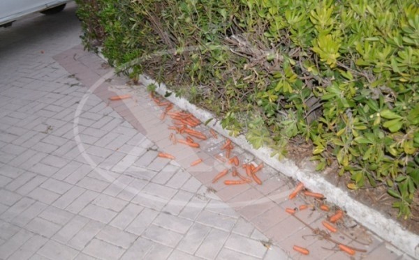Χανιά: Πέταξαν καρότα στον Γιώργο Σταθάκη του ΣΥΡΙΖΑ (pic)