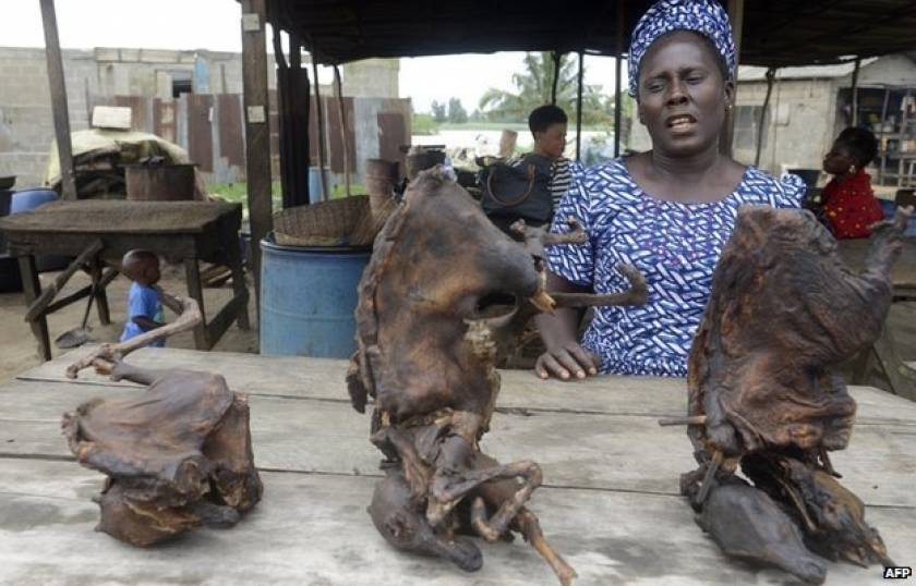 Έμπολα - BBC: Το κρέας άγριων ζώων πίσω από το ξέσπασμα του ιού;