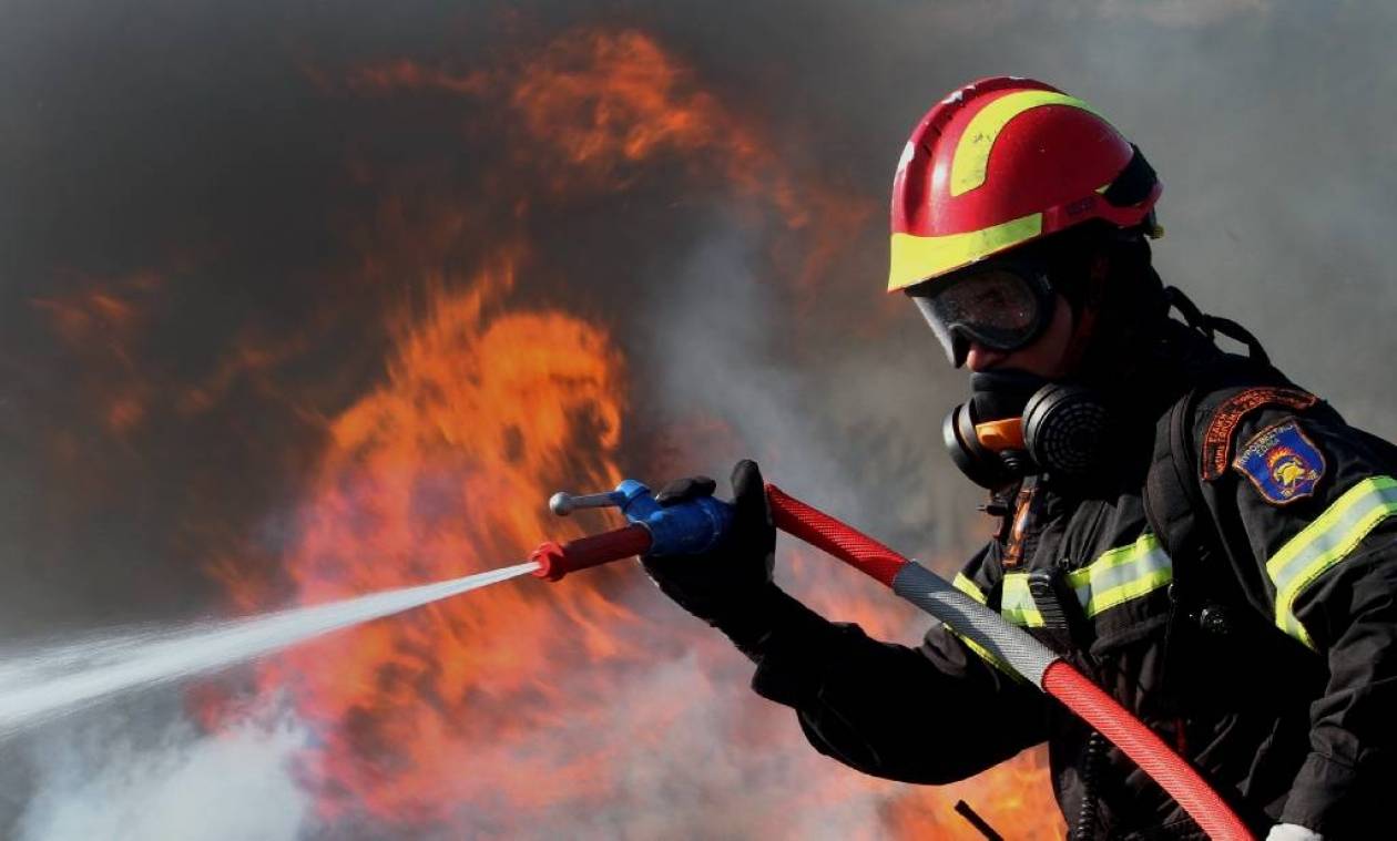 «Συναγερμός» στην Πυροσβεστική: Πυρκαγιά στη Στροφυλιά