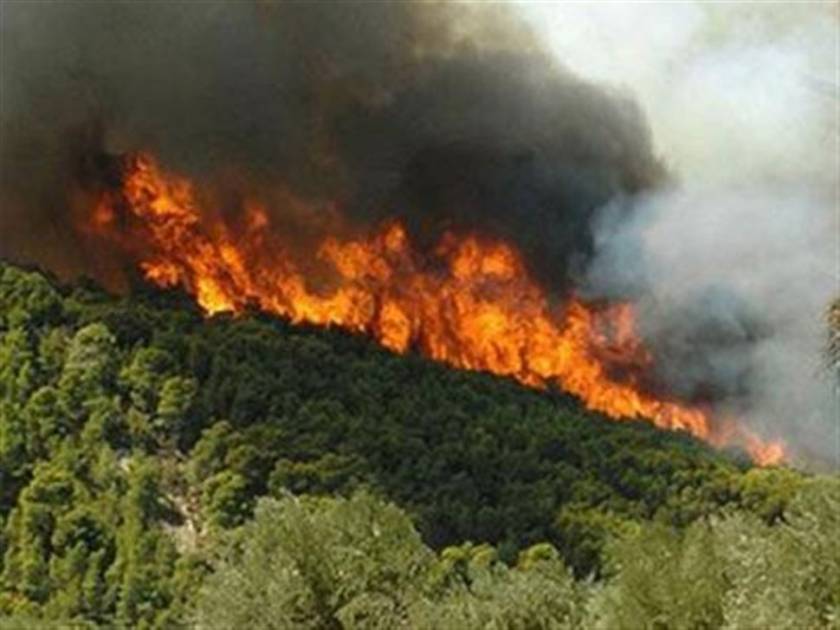 Χίος: Αναζωπυρώνεται η πυρκαγιά - Εγκλωβίστηκαν 4 οχήματα