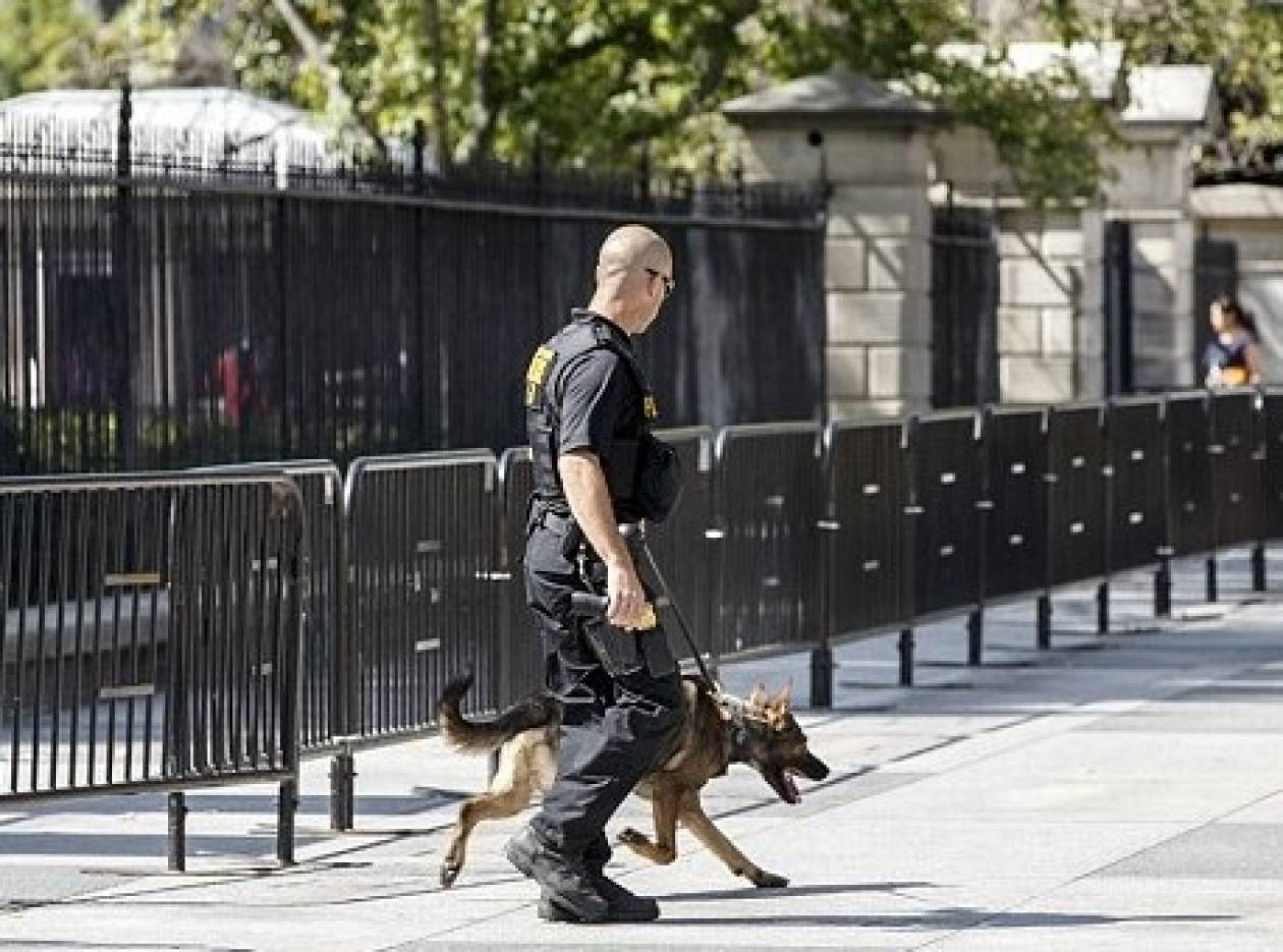 Δάγκωσε αστυνομικό σκύλο στον Λευκό Οίκο και τώρα τρέχει και δεν φτάνει…