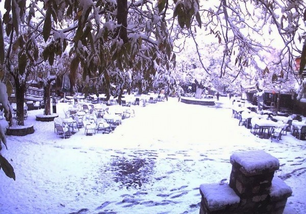 Το… έστρωσε στα ορεινά της Ηπείρου – Φωτογραφίες από τα πρώτα χιόνια