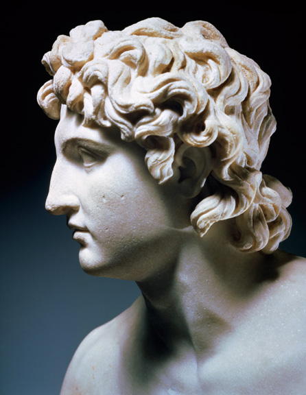 Alexander Great Bust