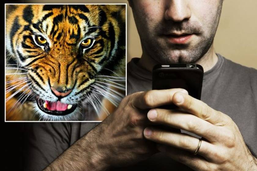 Ουαλία: Τον καταδίκασαν για βίντεο γυναίκας που έκανε σεξ με... τίγρη!