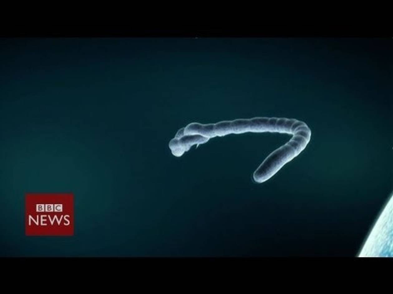 Έμπολα: BBC - Όσα πρέπει να ξέρετε για τον ιό σε 60 δευτερόλεπτα (vid)
