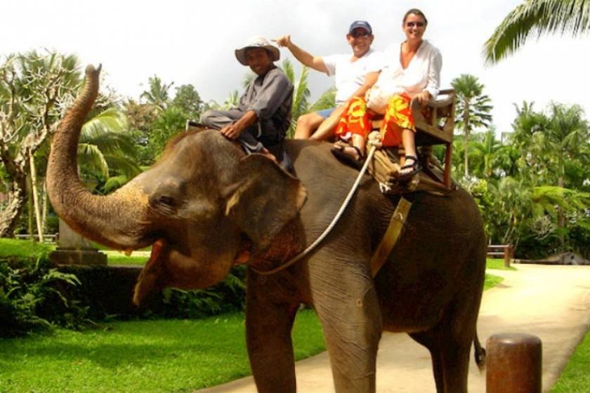 Ινδία: Ποδοπατήθηκε από ελέφαντα, προσπαθώντας να βγάλει selfie!
